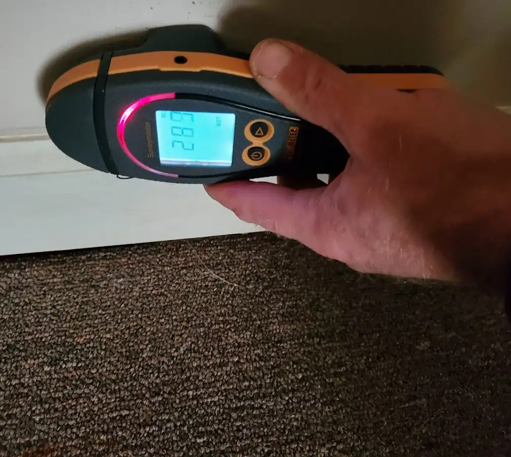 Moisture detection at baseboard during Sewage Cleanup & Sanitation in Vienna